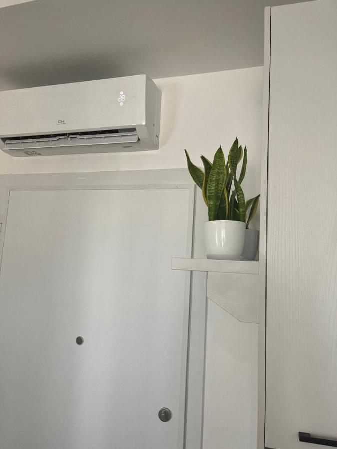 Comfy Nest Apartment- Free Parking Apartment